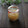 まろんかふぇ's cooksnap of when they made お寿司屋さんの香り♪ 新生姜の甘酢漬.