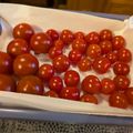 ダッフィーニーうに's cooksnap of when they made ミニトマト(プチトマト)の保存.