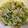 コンコン☆'s cooksnap of when they made 桜エビのレタス炒め.