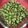 クック4JJMG3☆'s cooksnap of when they made ひたし豆（青大豆煮）.
