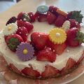 りんたろう1813's cooksnap of when they made 濃厚☆簡単☆レアチーズケーキ（プレーン）.