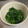 MEME72's cooksnap of when they made 焼肉屋さんより旨ッ！ほうれん草のナムル.