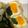 クック7XE1N6☆'s cooksnap of when they made ＊玉子とほうれん草のきんちゃく煮♪＊.