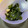 みさきです。's cooksnap of when they made わかめとちくわの中華炒め.