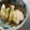 SuperLights's cooksnap of when they made やみつき【大根】ゆず胡椒漬け.