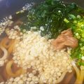 にゃつめ〜's cooksnap of when they made 旦那に好評のうどんつゆ～.