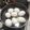 陳・亮's cooksnap of when they made 簡単♪半熟卵.
