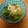 ⭐ひっきー⭐'s cooksnap of when they made 簡単☆小松菜と豆苗、油揚げの煮浸し.
