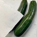 島子☆'s cooksnap of when they made ズッキーニの保存方法.