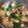 木漏れ日の台所's cooksnap of when they made 鍋や汁物に♪ 肉団子（豚挽肉の肉団子）.