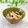 Satoco❋'s cooksnap of when they made 筍を余さず食べよう＠姫皮の梅塩こんぶ和え.