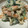 TeaChan214's cooksnap of when they made 【農家のレシピ】野菜とキノコの白和え.