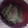 inoshishikun's cooksnap of when they made ふきのさっと煮　さくさくしてるのが美味.