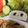 ペコポコBOX's cooksnap of when they made かまぼこパンダ.