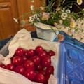ダッフィーニーうに's cooksnap of when they made すぐに使える！ミニトマトの保存法.