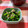 クックDGCFO3☆'s cooksnap of when they made 美容と健康に♪春菊のツナ和え【簡単】.