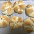 ソフィア☆じゅんko's cooksnap of when they made カイザーゼメル【ドイツ料理】.