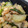 うぴのすけ's cooksnap of when they made 海老とにんにくの芽の中華炒め♪.