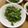 リョコさおりタカ71's cooksnap of when they made あしたばのごま和え.