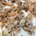 おいもいくすけ's cooksnap of when they made カリカリの舞茸焼き⸜❤︎⸝‍.