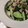 喜八＆Hacchi's cooksnap of when they made たたき胡瓜とガリのおつまみ塩昆布和え.