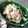 あず7225's cooksnap of when they made サーモンのみそ豆乳クリームパスタ.