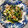 ピーナッツ子♪'s cooksnap of when they made ターサイときのこのオイスターソース炒め.