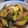 ゆるмαмα's cooksnap of when they made ナスのオランダ煮.