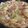 kitchenＫ's cooksnap of when they made ★博多名物★あっさり醤油味のモツ鍋♪.