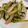 クックAIHH1D☆'s cooksnap of when they made チンゲン菜とエリンギの中華炒め.