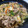 クックF39XVN☆'s cooksnap of when they made 豚こま･白菜･白ねぎ★すき焼き風煮。.