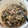 クック2KUU4M☆'s cooksnap of when they made れんこんとひじきのマヨネーズサラダ.