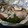 なおぴん1's cooksnap of when they made 簡単♪鮭と舞茸のホイル焼き.