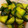 clover55's cooksnap of when they made 【減塩】焼肉のタレでやみつききゅうり.