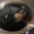 papikun's cooksnap of when they made 甘くない美味しい焼肉のタレ.