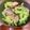 クックXB8QRN☆'s cooksnap of when they made 【便秘解消】ゴーヤとナスのツナチーズ丼.