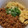 mrs9010☆★☆'s cooksnap of when they made そぼろ丼に！簡単ふわふわたまご♪.