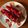 Ichibal1289's cooksnap of when they made ✿いちごタルト✿.