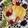 ピーナッツ子♪'s cooksnap of when they made 失敗しない！お店みたいなスフレパンケーキ.