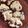 SuperLights's cooksnap of when they made チョコチャンククッキー.