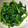 クック7FNN0F☆'s cooksnap of when they made ほうれん草のお浸し(ごま和え).
