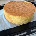 ちむちむ♡'s cooksnap of when they made パティシエのジェノワーズ＊スポンジケーキ.