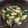jcst6jam3's cooksnap of when they made 鶏むね肉とほうれん草の味噌炒め【作りおき.