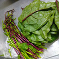 うたかた。's cooksnap of when they made つるむらさきの茹で方（下処理方法）.