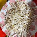 ☆yopipi's cooksnap of when they made レンジで簡単☆茹でモヤシ.