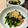 かなぽん☆☆'s cooksnap of when they made 簡単☆おかず☆おつまみ☆ほうれん草納豆.