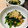 かなぽん☆☆'s cooksnap of when they made 簡単☆おかず☆おつまみ☆ほうれん草納豆.