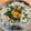 amaranthus's cooksnap of when they made 簡単すぎる♡これだけ！ごま油deしらす丼.