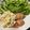 クック2H9MD0☆'s cooksnap of when they made 鮭のムニエル ～タルタルソース添え～.
