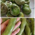 ひっこ's cooksnap of when they made そら豆茹でずにフライパンで炒めるだけ～.